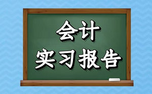 會計實習周記600字
