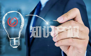 知識產權論文3000字