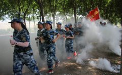 軍訓(xùn)感想500字