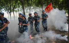 軍訓總結500字左右