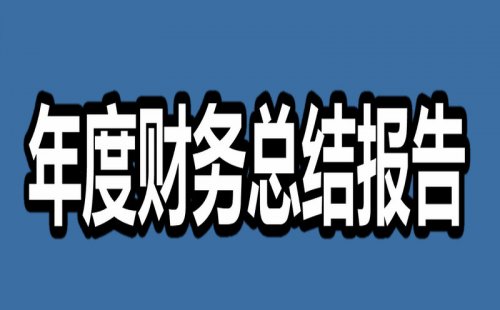 2024年度財務總結報告