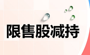 上市公司解除限售存量股份轉讓指導意見有哪些？