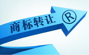 商標(biāo)注冊(cè)下來(lái)后多久可以轉(zhuǎn)讓？